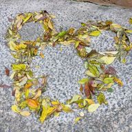 ぺんぺんぐささんのアイコン画像