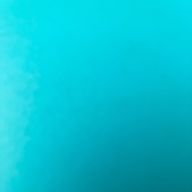 hachidoriさんのアイコン画像