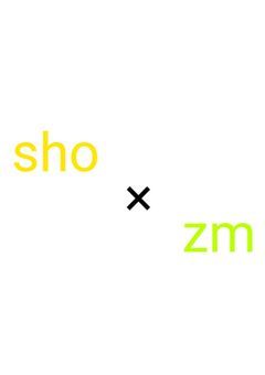 shoz短編集