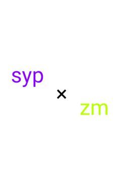 sypz短編集