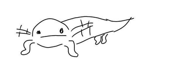 りぅちゃさんの壁紙画像