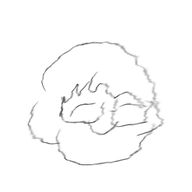 りぅちゃさんのアイコン画像