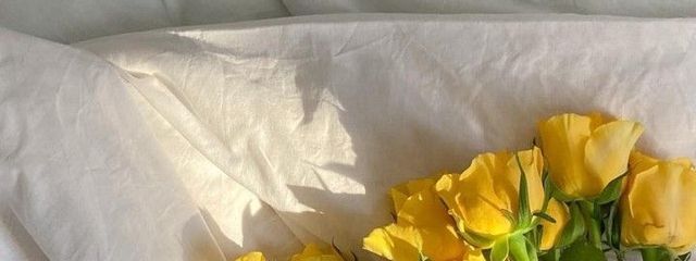 　　　田 村さんの壁紙画像