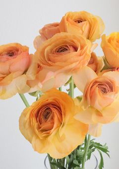 考  え   、  盗 め  。