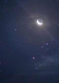 病弱 り ‐ だ ‐ 達 。