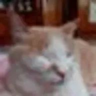 らー氏さんのアイコン画像