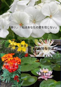 ただの怖がりさんの日記〈リア友含め相互は絶対きて〉