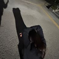 ぽわさんのアイコン画像