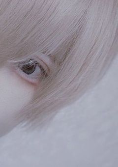 # 関 係 者 募 集