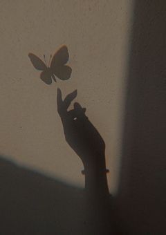 わかってるのに