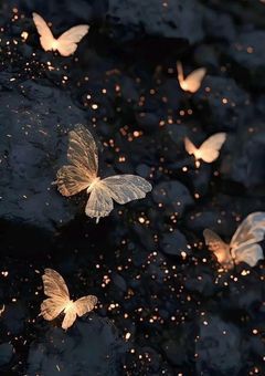 離婚危機🐶🐰短編集 (リクエスト募集中)