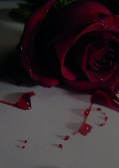 s k z 🖤🐶 短編集