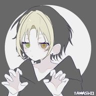 ねこぎつねさんのアイコン画像