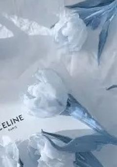 𝓈𝓊𝒾'𝓈 𝓇ℴℴ𝓂