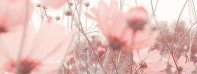 トッケビ信者。さんの壁紙画像