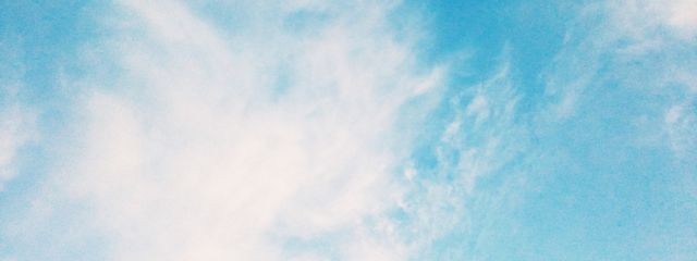 こうやどうふさんの壁紙画像