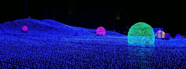 タマンさんの壁紙画像