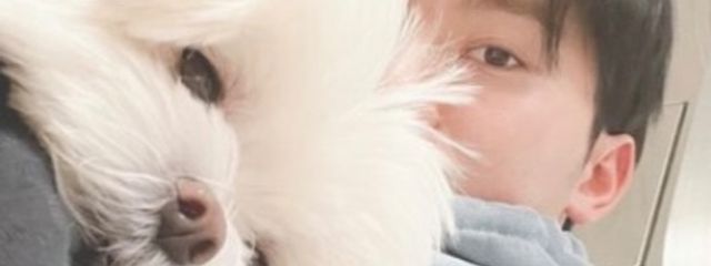 　蜜柑さんの壁紙画像