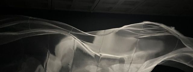 狐井さんの壁紙画像