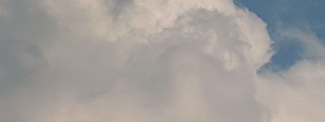 麗さんの壁紙画像