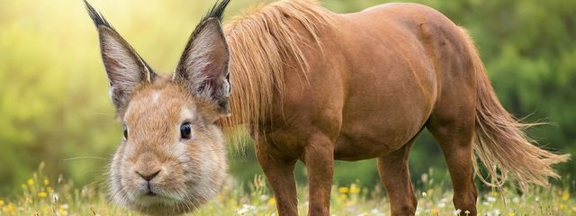 海月シアンさんの壁紙画像