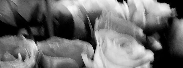 𝒜𝓎さんの壁紙画像