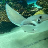 みぃさんのアイコン画像