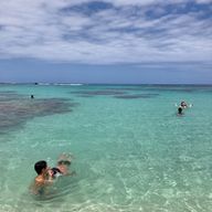 りんりん🏸さんのアイコン画像