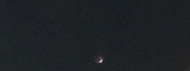 🌙.*·̩͙海月さんの壁紙画像