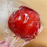 ロイトさんのアイコン画像