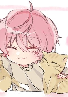 野良猫拾いました