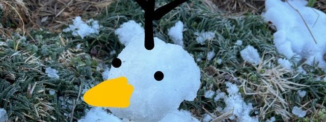 氷柱乃冷月🧊🌙☢️さんの壁紙画像