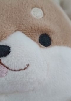 参加型！地縛少年花子くん