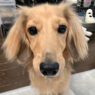 しゅなさんのアイコン画像