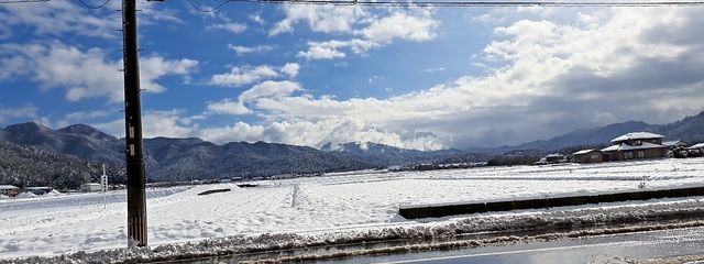 スクイさんの壁紙画像