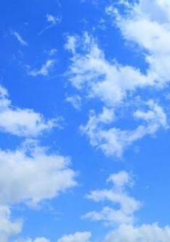 青空の下で 。