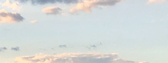 𝕚𝕔𝕙𝕚𝕘𝕠𝕞𝕚𝕝𝕜#フォロセ中　🐈‍⬛🥀⚔ 💙❇️❤️さんの壁紙画像