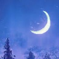 月山 瑠音 𓏸𓂂𓈒 ☽さんのアイコン画像