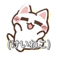 歌い手の〝けいねこ〟 (プリ小説ではお知らせします！)さんのアイコン画像