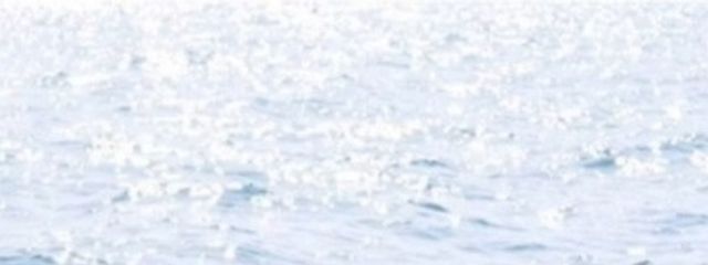 こまめさんの壁紙画像