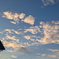 かかさんのアイコン画像