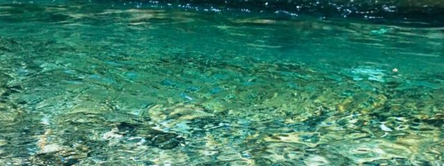 メルトさんの壁紙画像