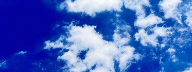 莉緒さんの壁紙画像