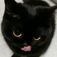 ぴちゅんちゅ🐾さんのアイコン画像