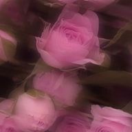 1000.1さんのアイコン画像