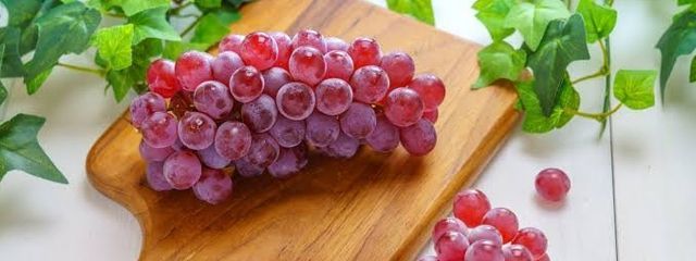 デラウェアさんの壁紙画像