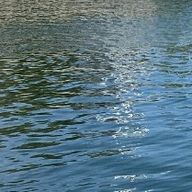 デラウェアさんのアイコン画像