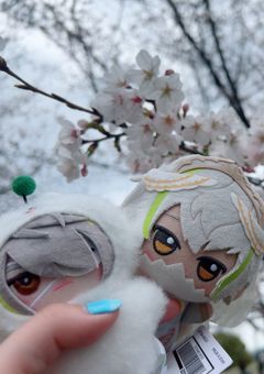 パンダのトークルーム
