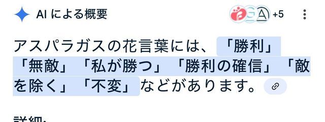 透音さんの壁紙画像