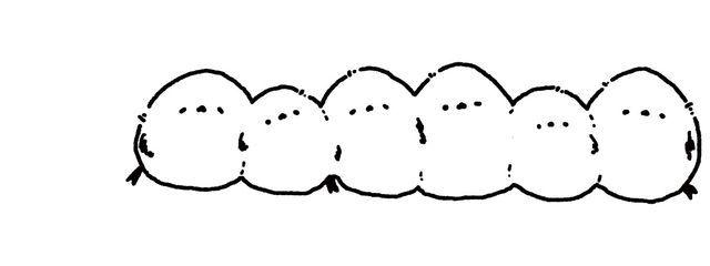 まるさんの壁紙画像